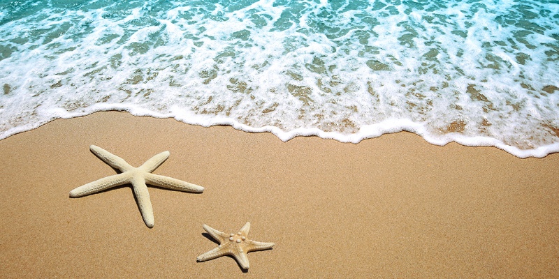 Vakantieplanning